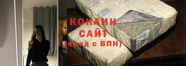 2c-b Богородицк