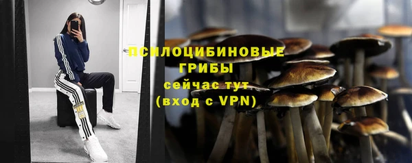 бошки Богородск