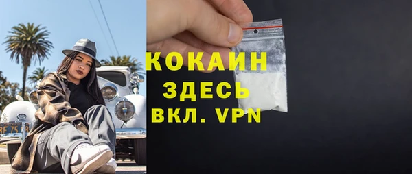 2c-b Богородицк