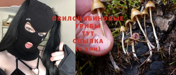 2c-b Богородицк