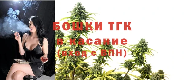 амф Богданович