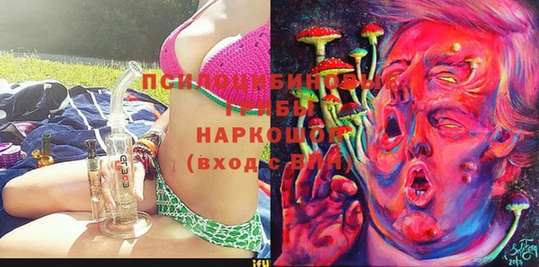 амф Богданович