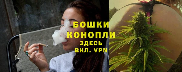 2c-b Богородицк