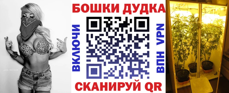 продажа наркотиков  Палласовка  Марихуана семена 